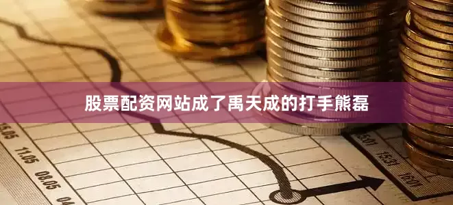 股票配资网站成了禹天成的打手熊磊