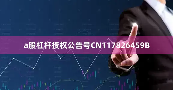 a股杠杆授权公告号CN117826459B