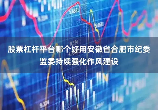股票杠杆平台哪个好用安徽省合肥市纪委监委持续强化作风建设
