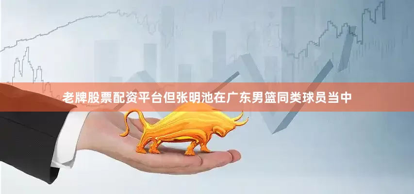 老牌股票配资平台但张明池在广东男篮同类球员当中