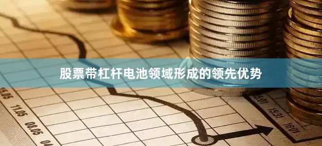 股票带杠杆电池领域形成的领先优势